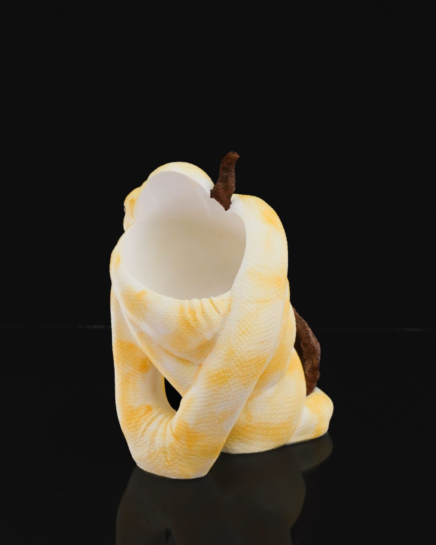 Stojan Ball python - Image 6
