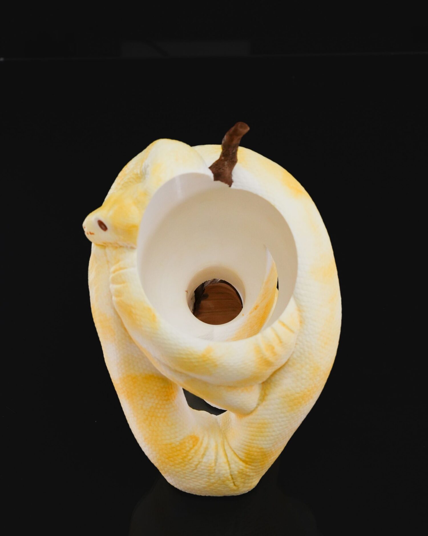 Stojan Ball python - Image 3