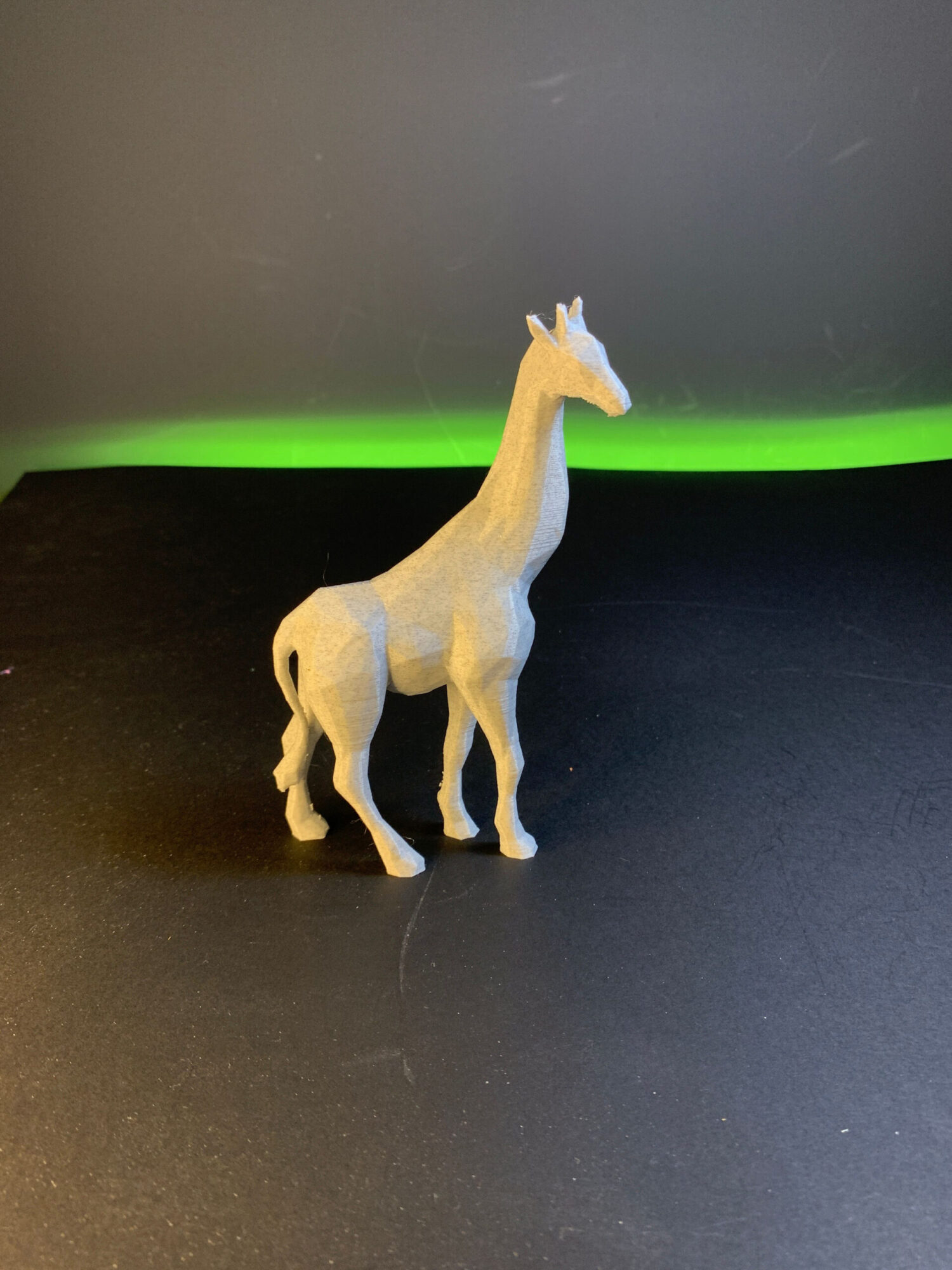 Model Žirafa