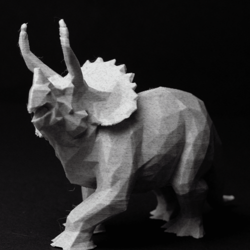 Model Triceratops